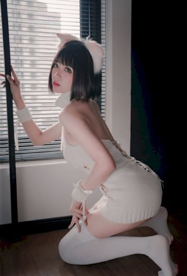 《与凤行》